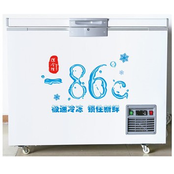 Quruq muz uchun idish